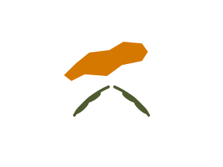 Cyprus flag